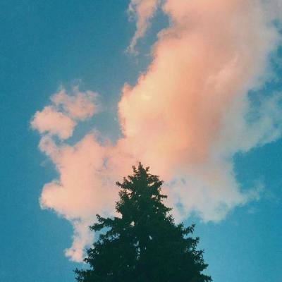 火狐体育APP体育下载手机版截图