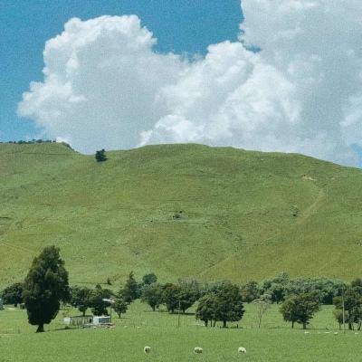 贝博app代言艾弗森