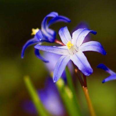 关于“开云电竞APP”app下载