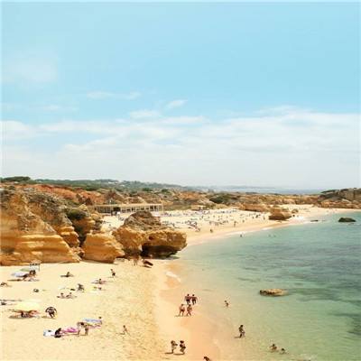 NG28加拿大软件下载