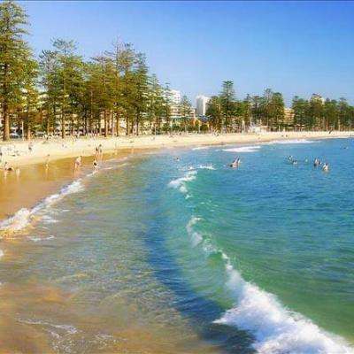 leyu乐鱼·体育app下载