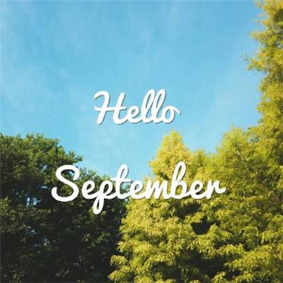 金沙集团9500官网app下载