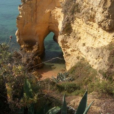 云开平台APP官方全站APP入口app下载