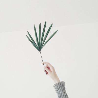 双彩网手机app下载截图