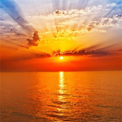 pg棋牌软件平台官方版下载